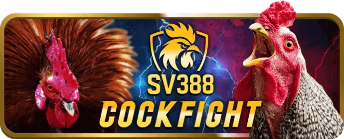 Hỗ trợ khách hàng 24/7 mu88 Bet